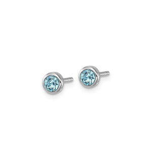 Blue Crystal Stud Earrings