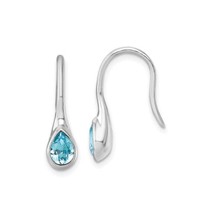 Blue Crystal Teardrop Earrings