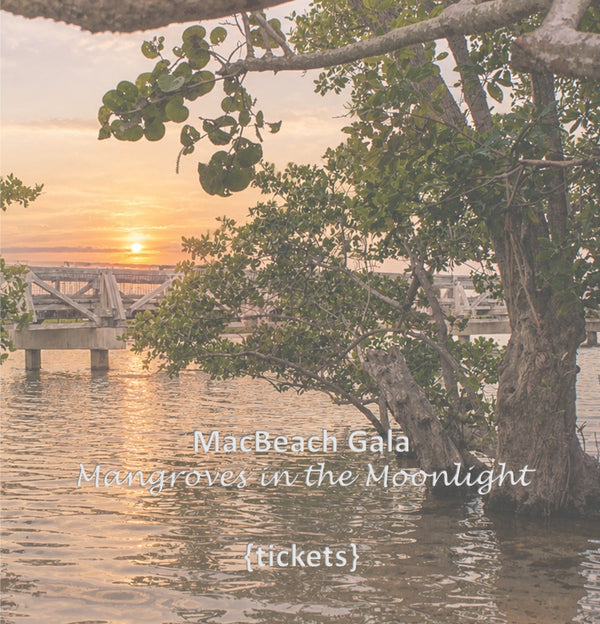 General Admission MacBeach Gala Ticket